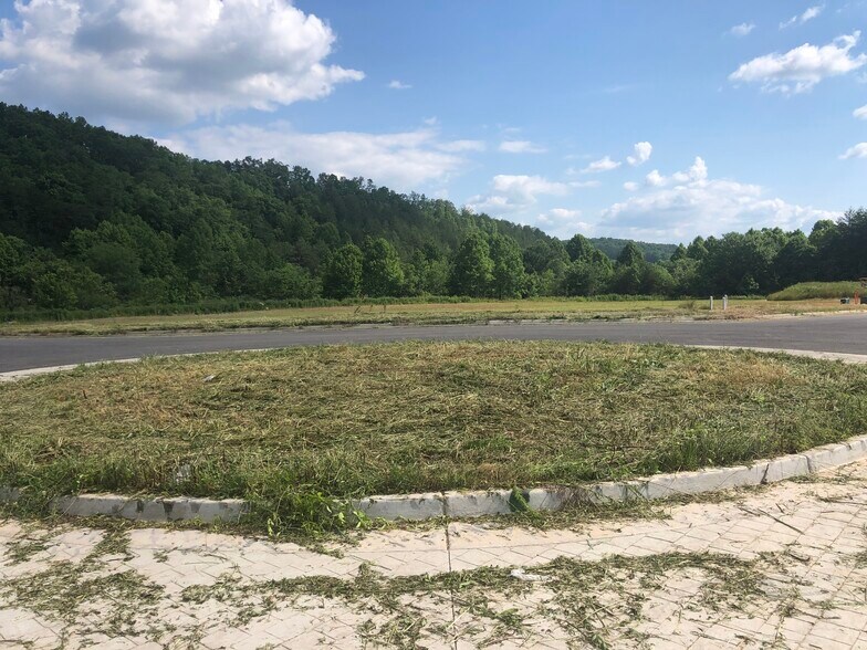 More Photos Of Ridgewood Dr, Blue Ridge Land For Sale