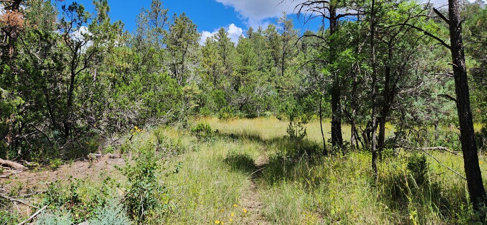 More Photos Of 140 Paradise Canyon Dr, Ruidoso Land For Lease