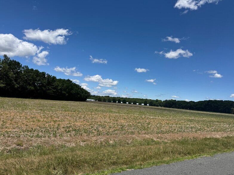 More Photos Of 953 White Marsh Branch Rd, Harrington Land For Sale