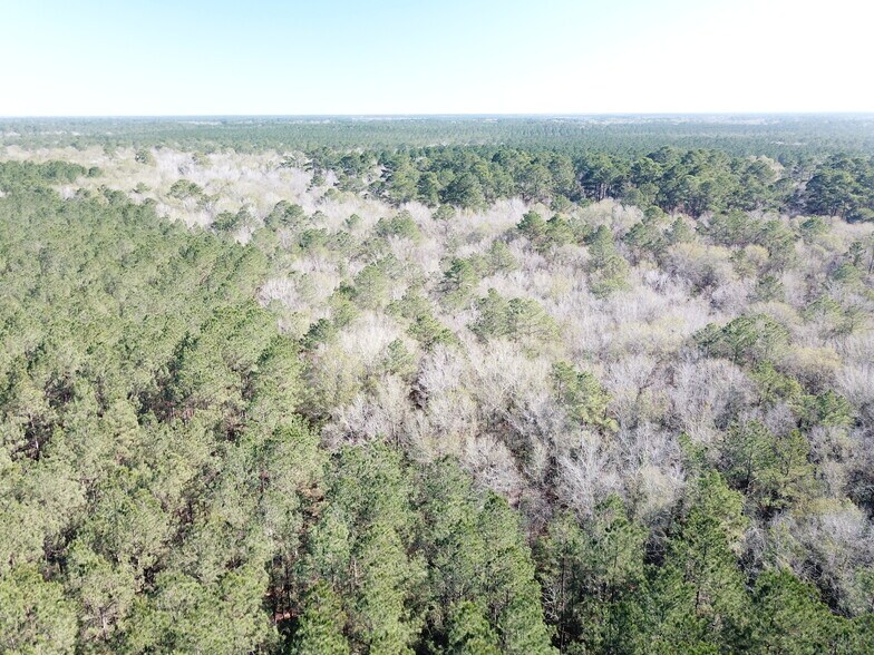 More Photos Of Corrigan Road, Vidor Land For Sale