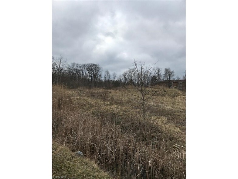 More Photos Of 11925 Royalton Rd, North Royalton Land For Sale