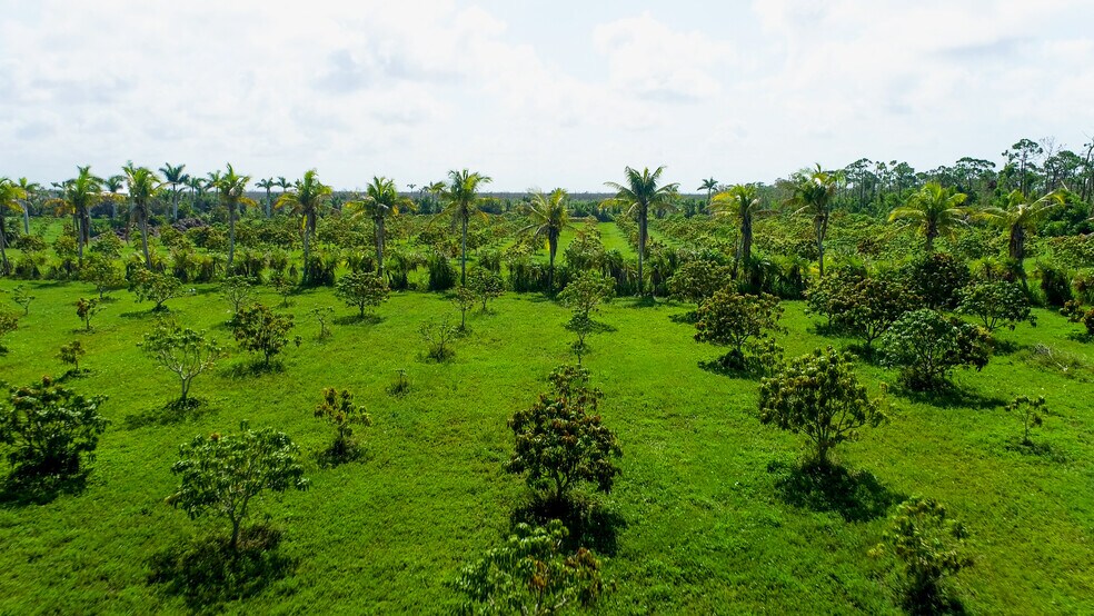 More Photos Of 9000 Stringfellow Rd, Saint James City Land For Sale