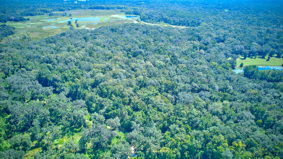 More Photos Of 0 Ponce De Leon blvd, Brooksville Land For Sale