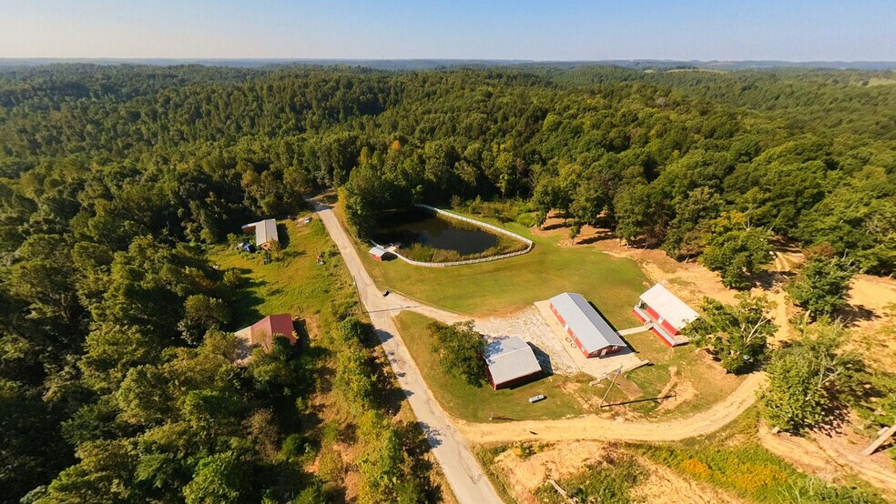 More Photos Of 851 Webb Ln, Olive Hill Land For Sale