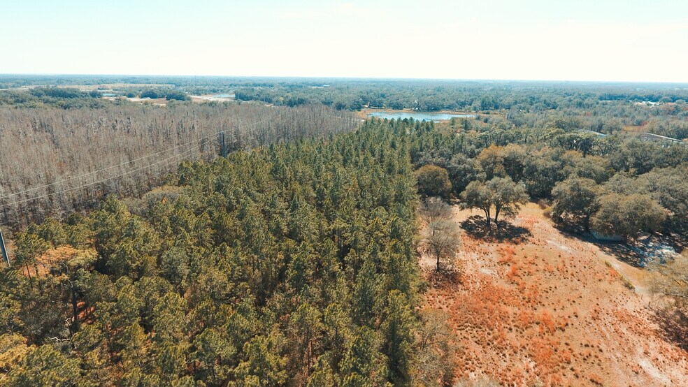 More Photos Of 30607 State Road 54, Wesley Chapel Land For Sale