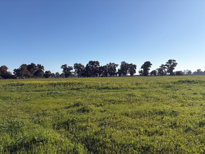 More Photos Of Learning Tree Lane Brentwood, Brentwood Land For Sale