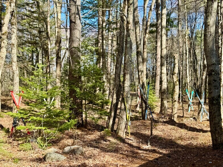 More Photos Of 2659 NH Route 16, Albany General Retail For Sale