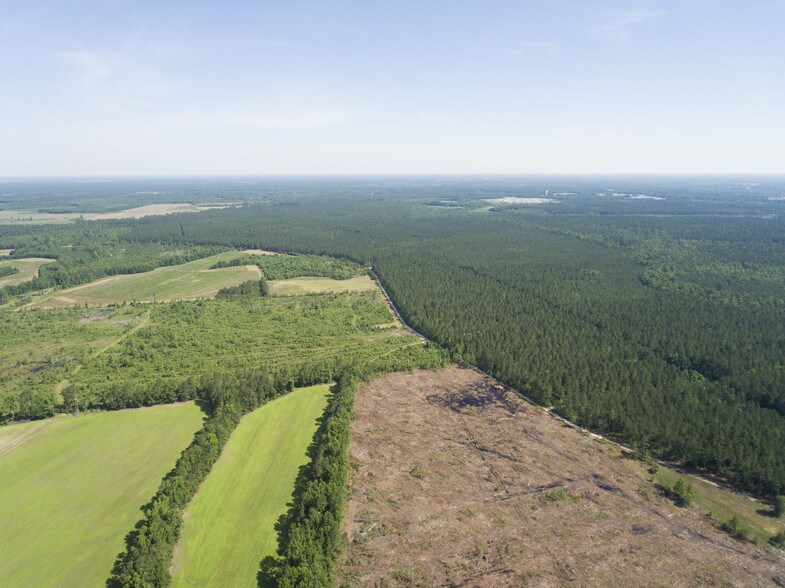 More Photos Of I-95 Site Mega Site, Gable Land For Sale