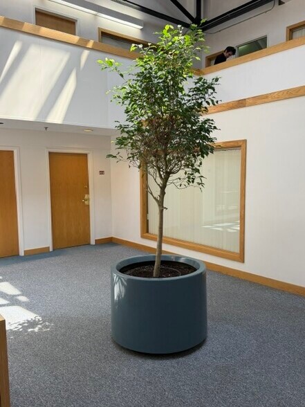 More Photos Of 385 Court St, Plymouth Office For Lease