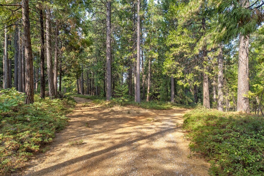 More Photos Of Mountain Dew Lane, Somerset Land For Sale