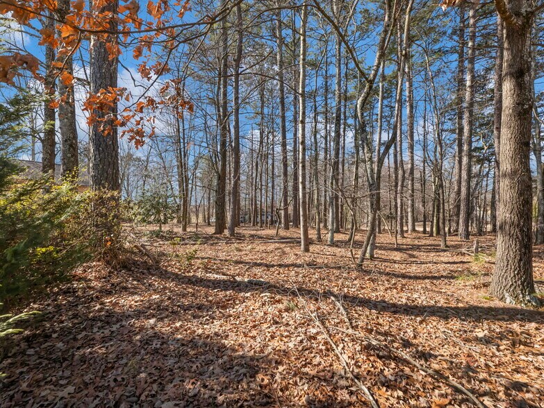 More Photos Of 5555 McEver Rd, Flowery Branch Land For Sale