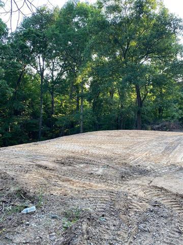 More Photos Of 14959 AL Highway 157, Vinemont Land For Sale