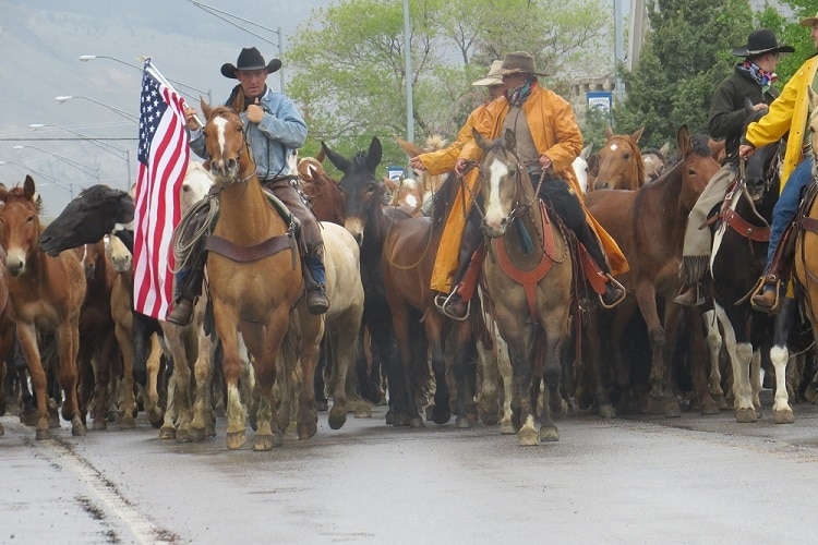 More Photos Of 4 Maiden Basin Dr, Gardiner Hospitality For Sale