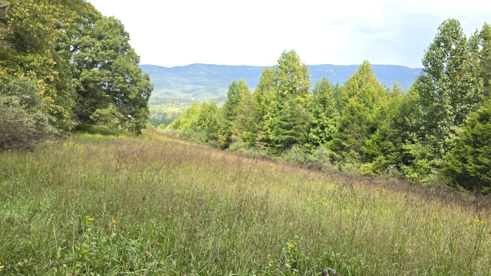 More Photos Of 715 Wheeler Rd, Ewing Land For Sale
