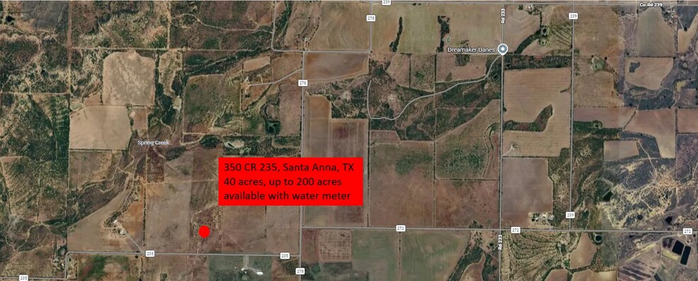Primary Photo Of 350 County Road 235, Santa Anna Land For Sale
