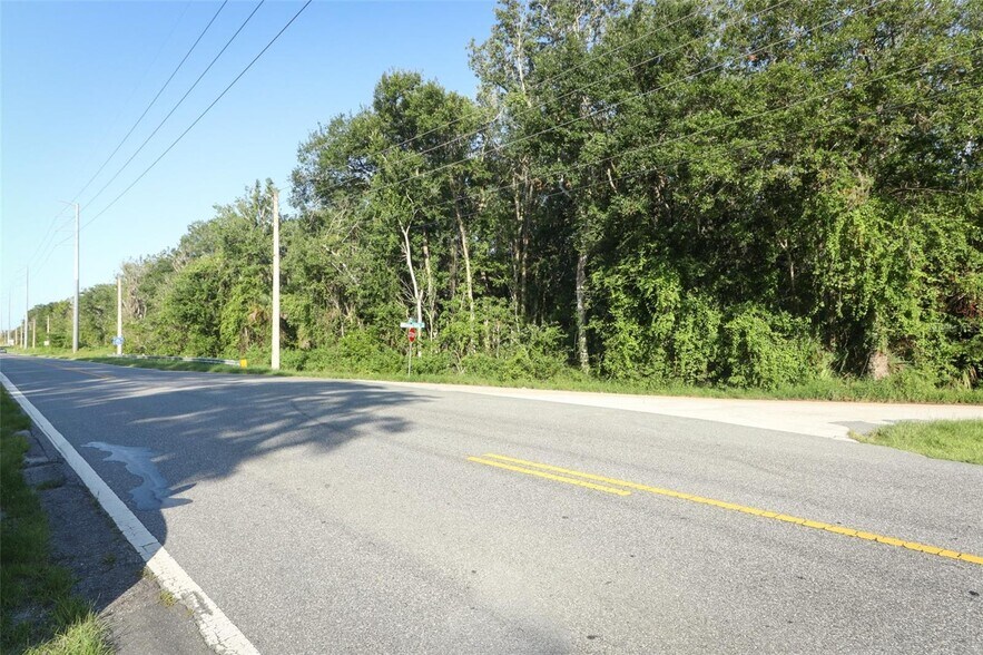 More Photos Of County Road 44, Leesburg Land For Sale