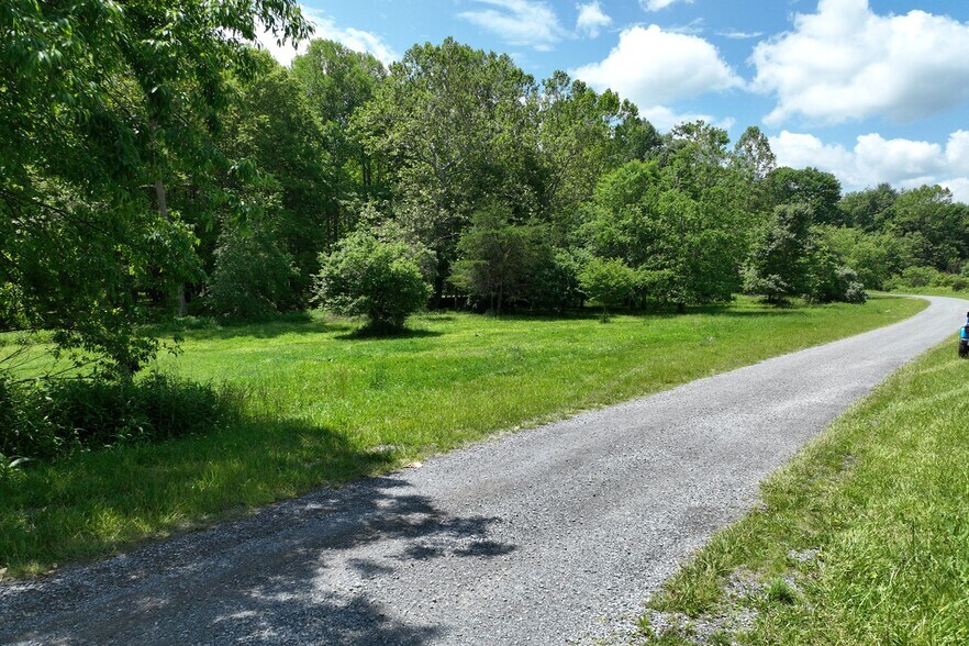 More Photos Of 1 Wolf Creek Cv, Bland Land For Sale