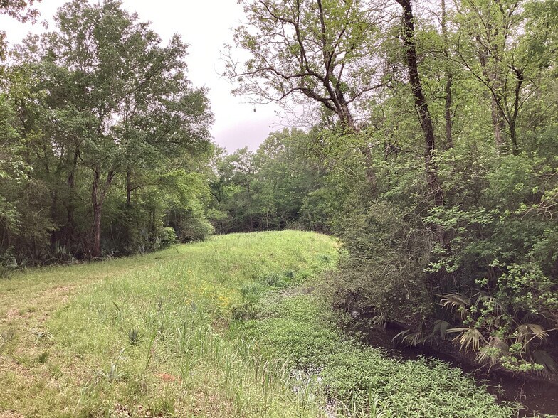 More Photos Of 0 County Road 4876, Dayton Land For Sale