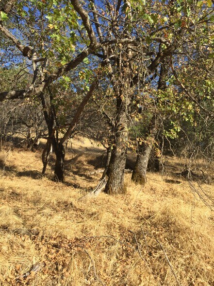 More Photos Of Ranch Camp Road @ Omo Ranch Road, Somerset Land For Sale