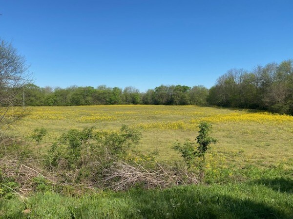 More Photos Of 1824 Pulaski Hwy, Fayetteville Land For Sale