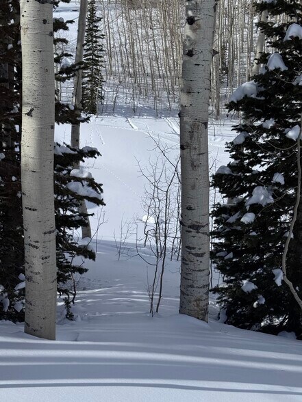 More Photos Of Parcels Logan lot 724 - U.P. No.2 lot 724 @ Red Cloud Rd., Park City Land For Sale