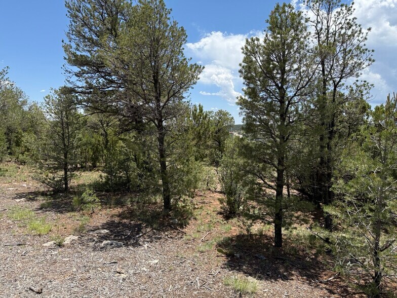 More Photos Of 44 Forest 321 Rd, Estancia Land For Sale