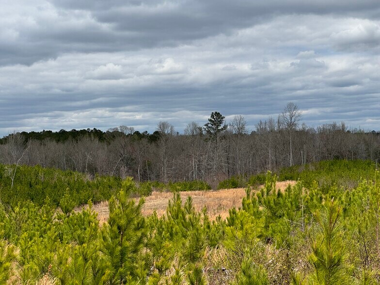 More Photos Of 10831 Highway 9, Kellyton Land For Sale