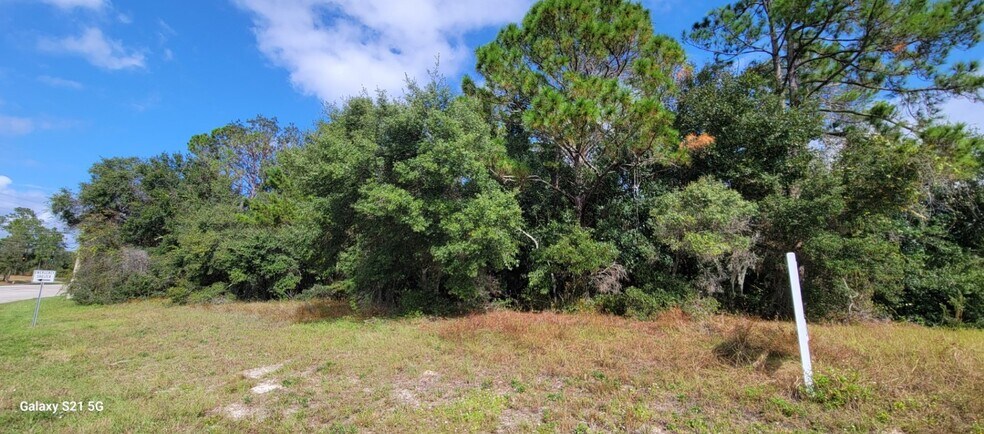 More Photos Of Lake Helen Osteen Rd, Deltona Land For Sale