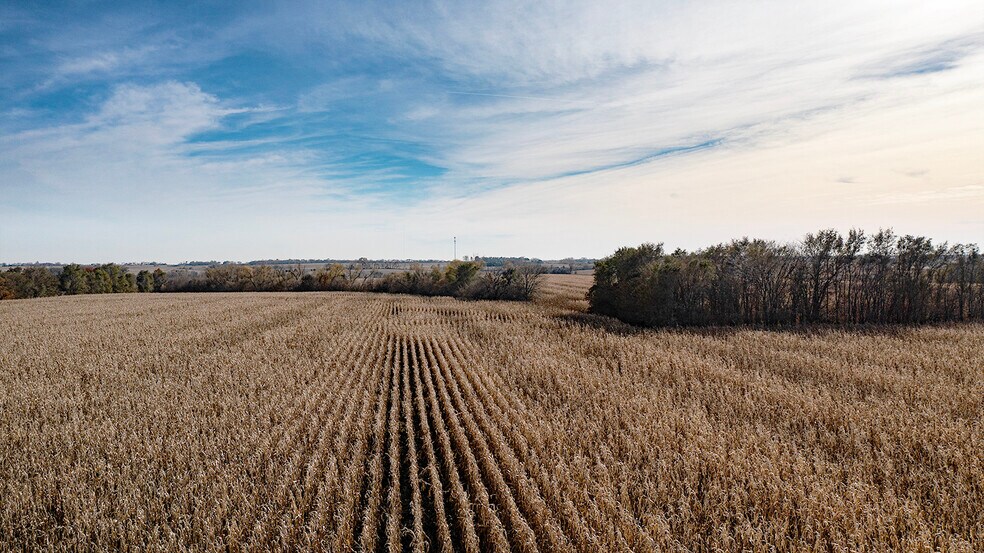 More Photos Of Hwy 63, Eagle Land For Sale