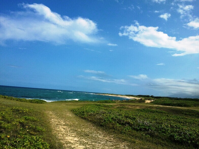 More Photos Of Kamehameha Highway @ marconi, Kahuku Land For Sale