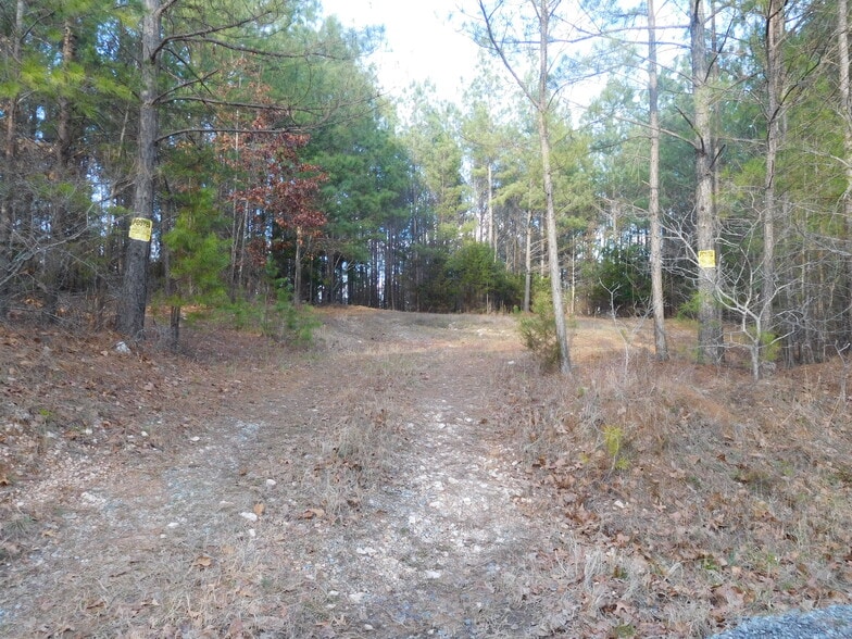 More Photos Of Tanners Rd, Smyrna Land For Sale