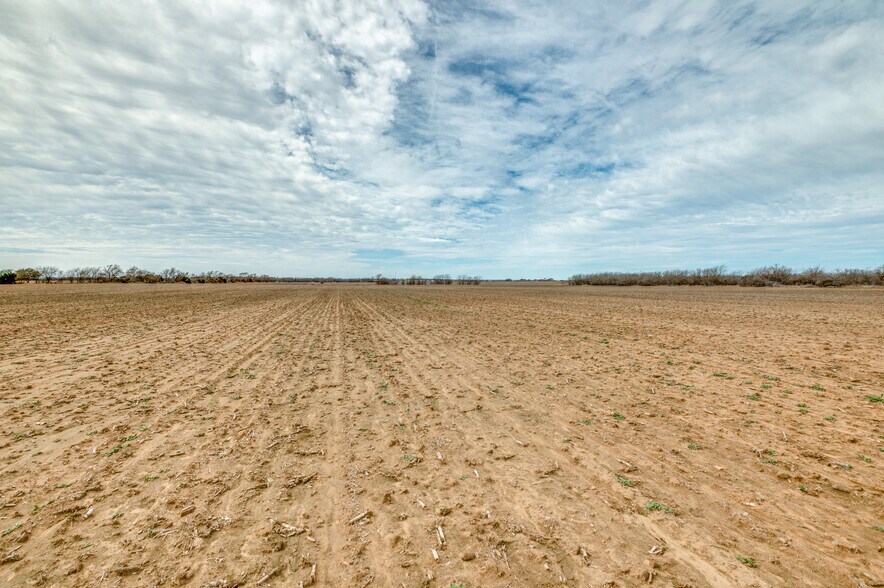 Primary Photo Of TBD HCR 1248, Whitney Land For Sale