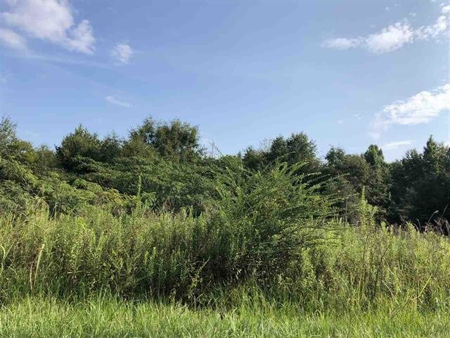 More Photos Of 614 N Main St, Atmore Land For Sale