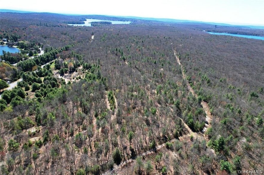 More Photos Of TBD Old Sackett Lake Rd, Rock Hill Land For Sale