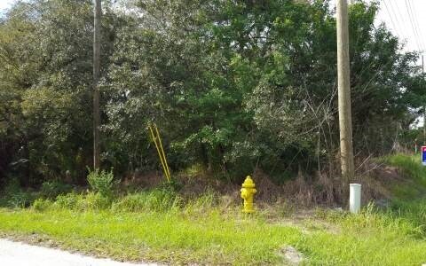 More Photos Of 1596 US Highway 27, Avon Park Land For Sale