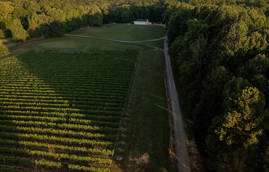 More Photos Of 8400 Old Church Rd, New Kent Winery Vineyard For Sale