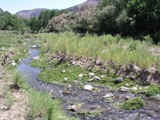 More Photos Of 17095 NV 317, Caliente Lodge Meeting Hall For Sale