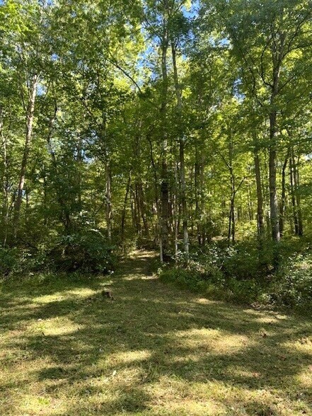 More Photos Of 264 Ritchie Rd, Carlisle Land For Sale