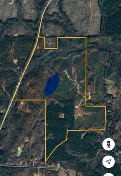 Primary Photo Of 10831 Highway 9, Kellyton Land For Sale