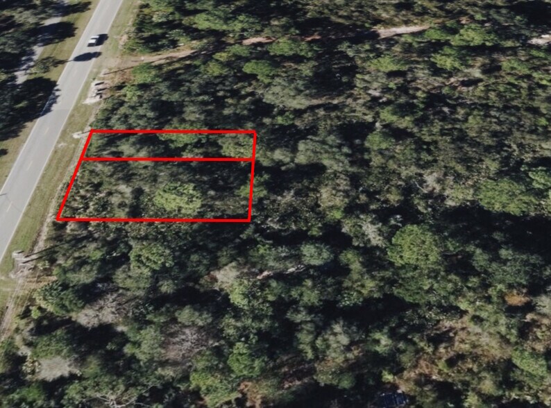 More Photos Of 734 Osteen Maytown rd, Osteen Land For Sale
