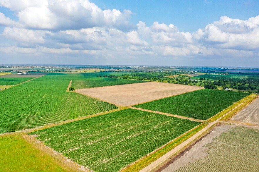 More Photos Of 000 Koym Road, Beasley Land For Sale