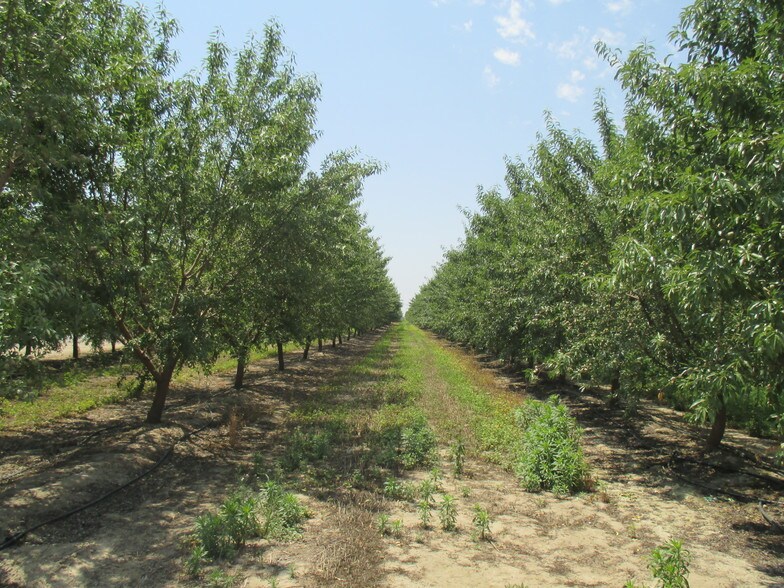 Avenue 112 Road 104 SW Cor