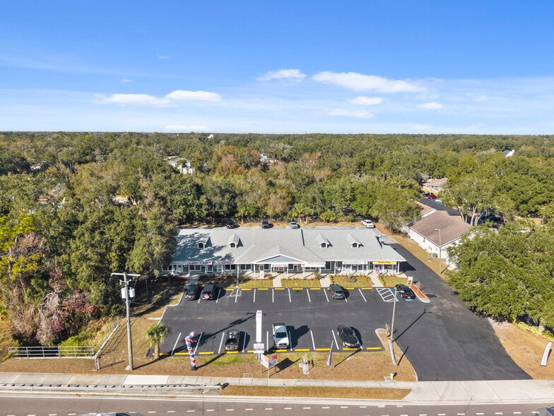 More Photos Of 104-118 E Bloomingdale Ave, Brandon Storefront Retail Office For Lease