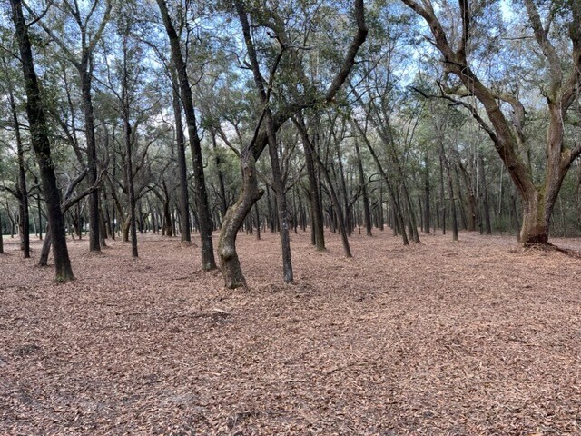 More Photos Of 4400 Garcon Point Road, Milton Land For Sale