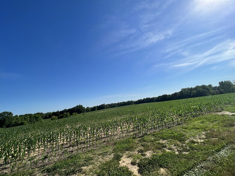 More Photos Of 4694 Dover Road Dover Road, Woodlawn Land For Sale