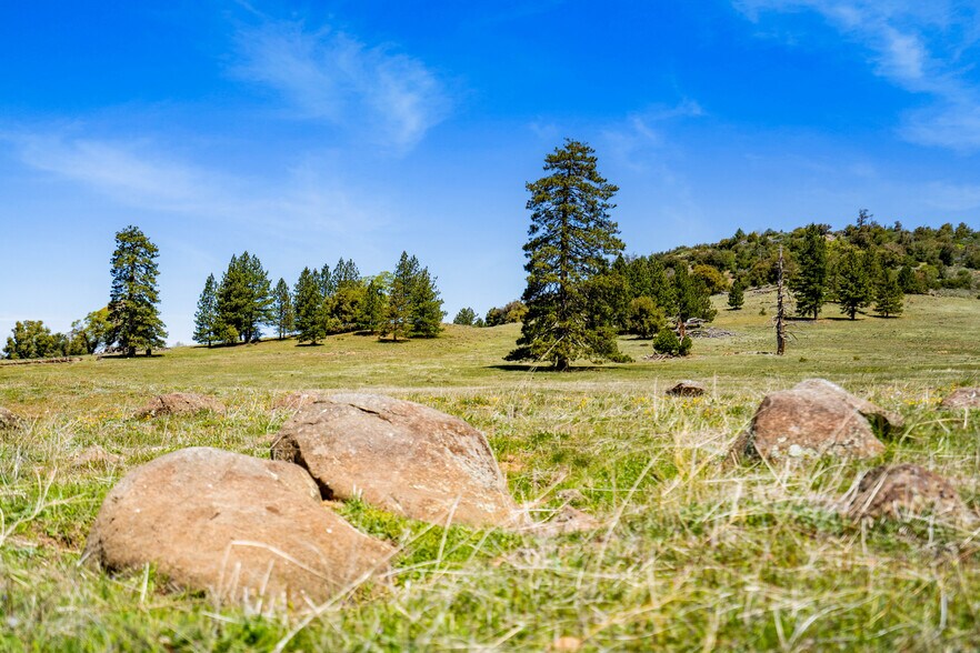 More Photos Of 3510 Deer Lake Park Road, Julian, CA 92036, USA -1, Julian Land For Sale