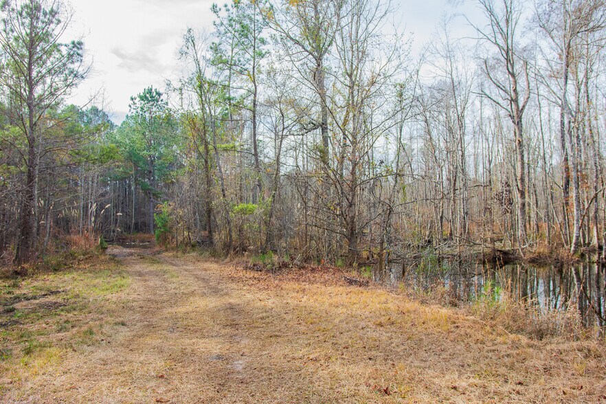 More Photos Of 409 Windward Ave, Orangeburg Land For Sale