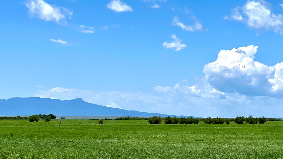 More Photos Of 48999 County Road 48, Model Land For Sale