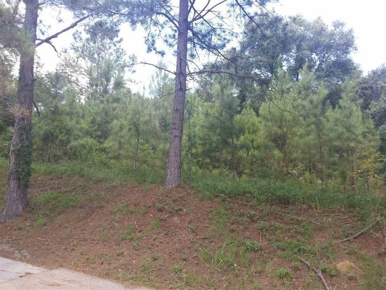 More Photos Of N Highway 90, Sneads Land For Sale