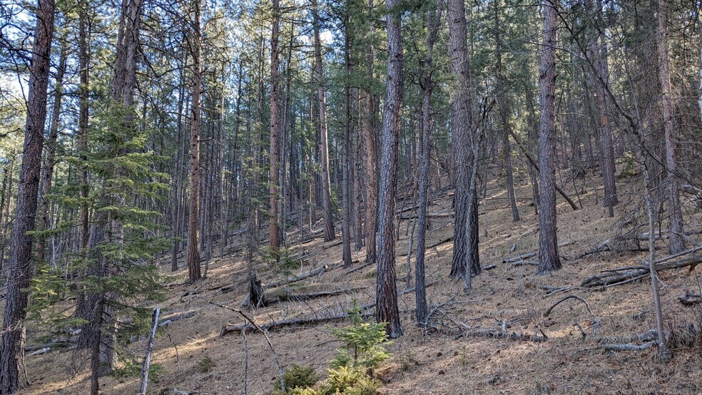 More Photos Of 1201A Old Hill City Rd, Keystone Land For Sale